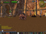 My Tauren druid